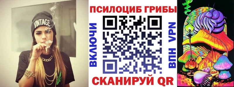 мориарти официальный сайт Александровск Галлюциногенные грибы мухоморы